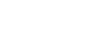 VTVLC Logo