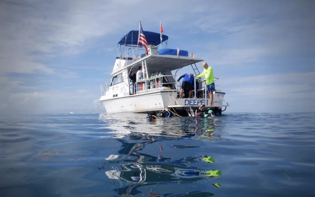 Image of a boat trawling the ocean.