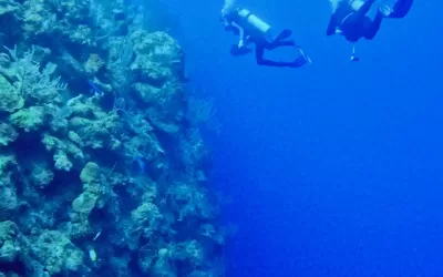 Off the Boat and Into the Blue