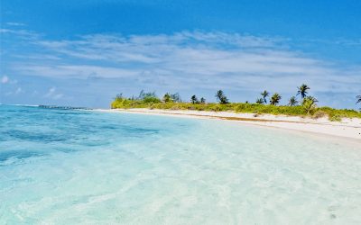 Marine Science Goes to Roatán: Dive Into an Unforgettable Adventure!